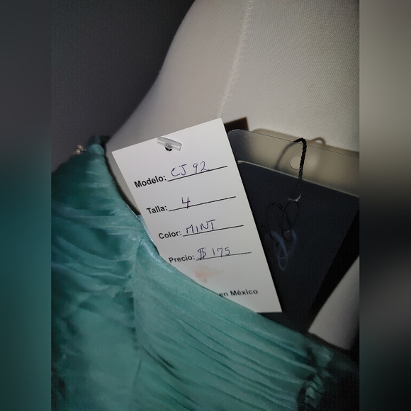 Flamingo/Mint Dress / Quinceañera Dress / Prom Dress / Ball Gown - Picture 4 of 5